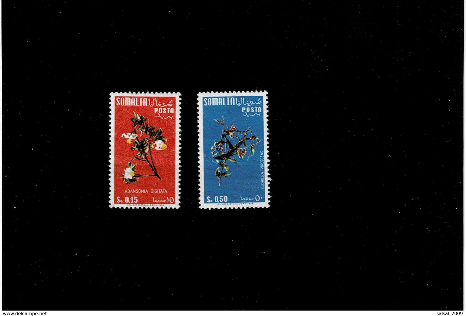 Somalia AFIS,colonie Italiana ,serie Completa Nuova MNH ,con Filigrana Stelle 1-o Tipo ,splendida - Somalia (AFIS)