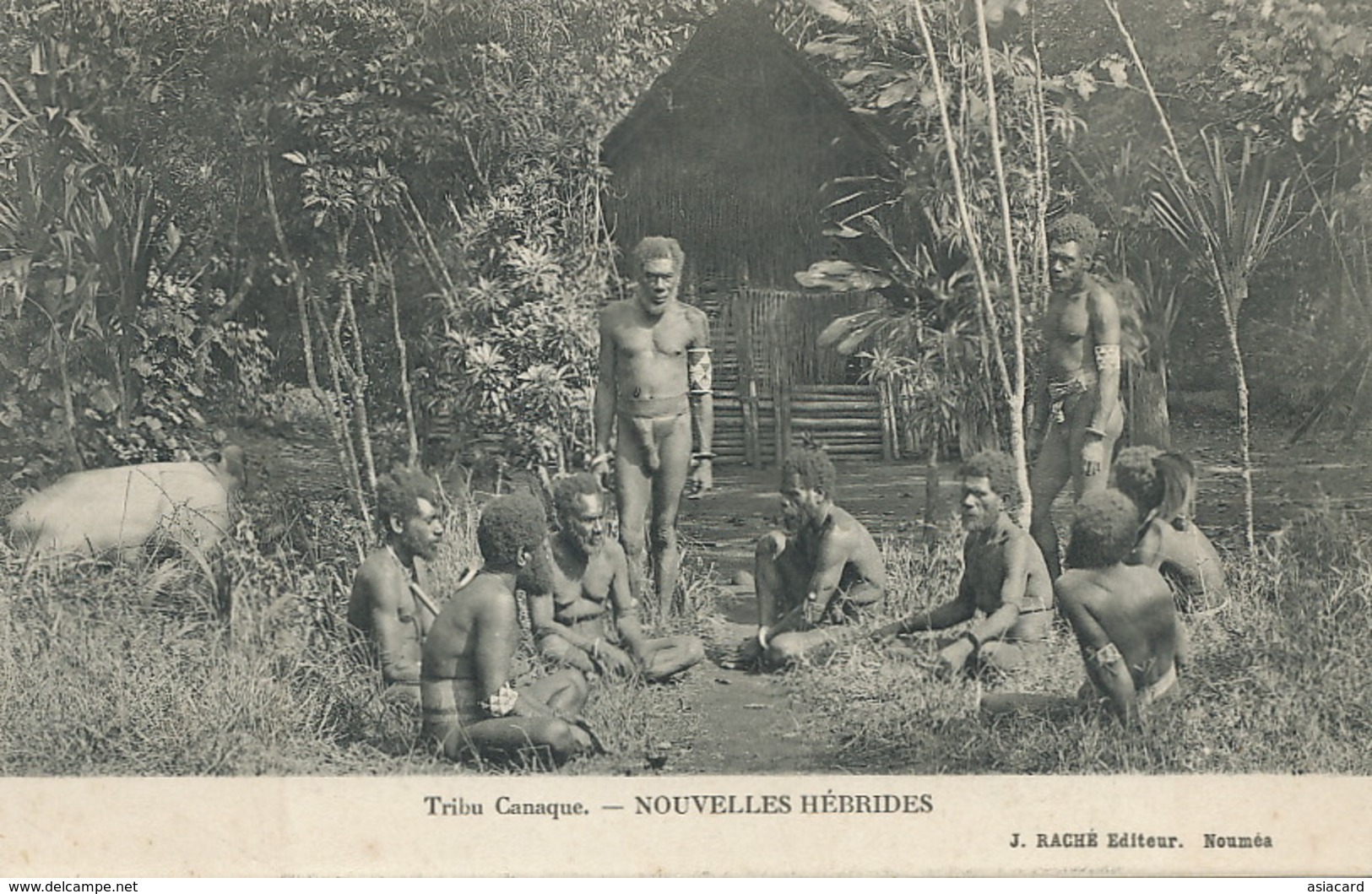 Nlles Hebrides Tribu Canaque Groupe Hommes Nus Photo Raché Nouméa - Vanuatu
