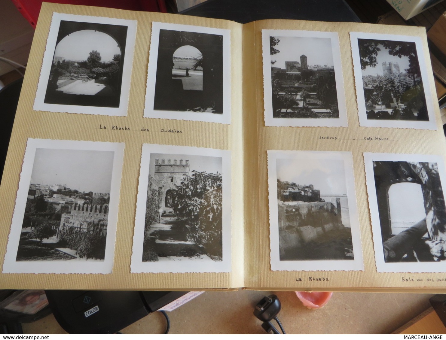 PLUS DE 180++++++photos diverses dans un album,lire description