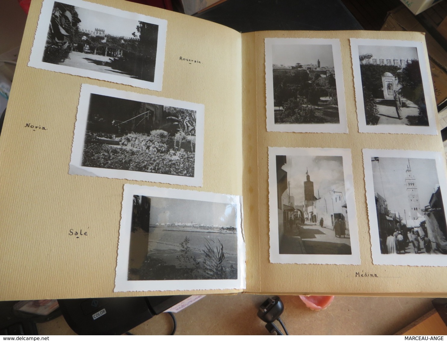 PLUS DE 180++++++photos diverses dans un album,lire description