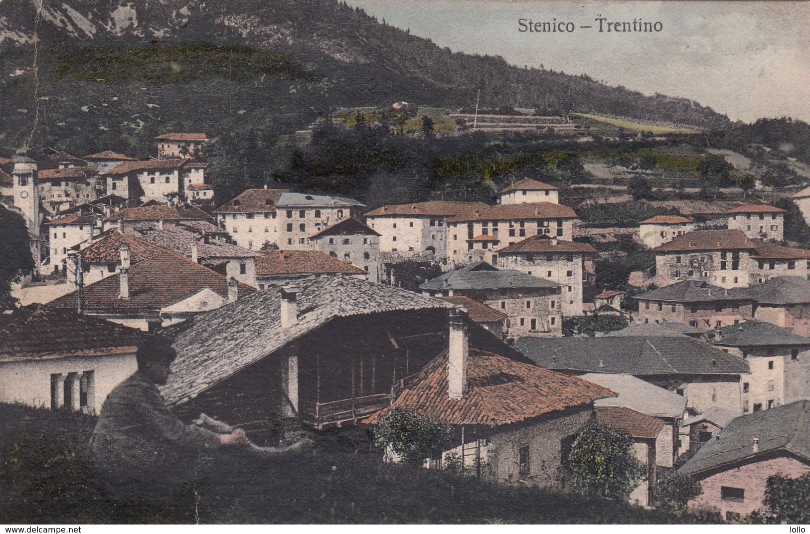 Trentino - Trento - Stenico - Il Panorama -- Bella -- Formato Piccolo - Autres & Non Classés