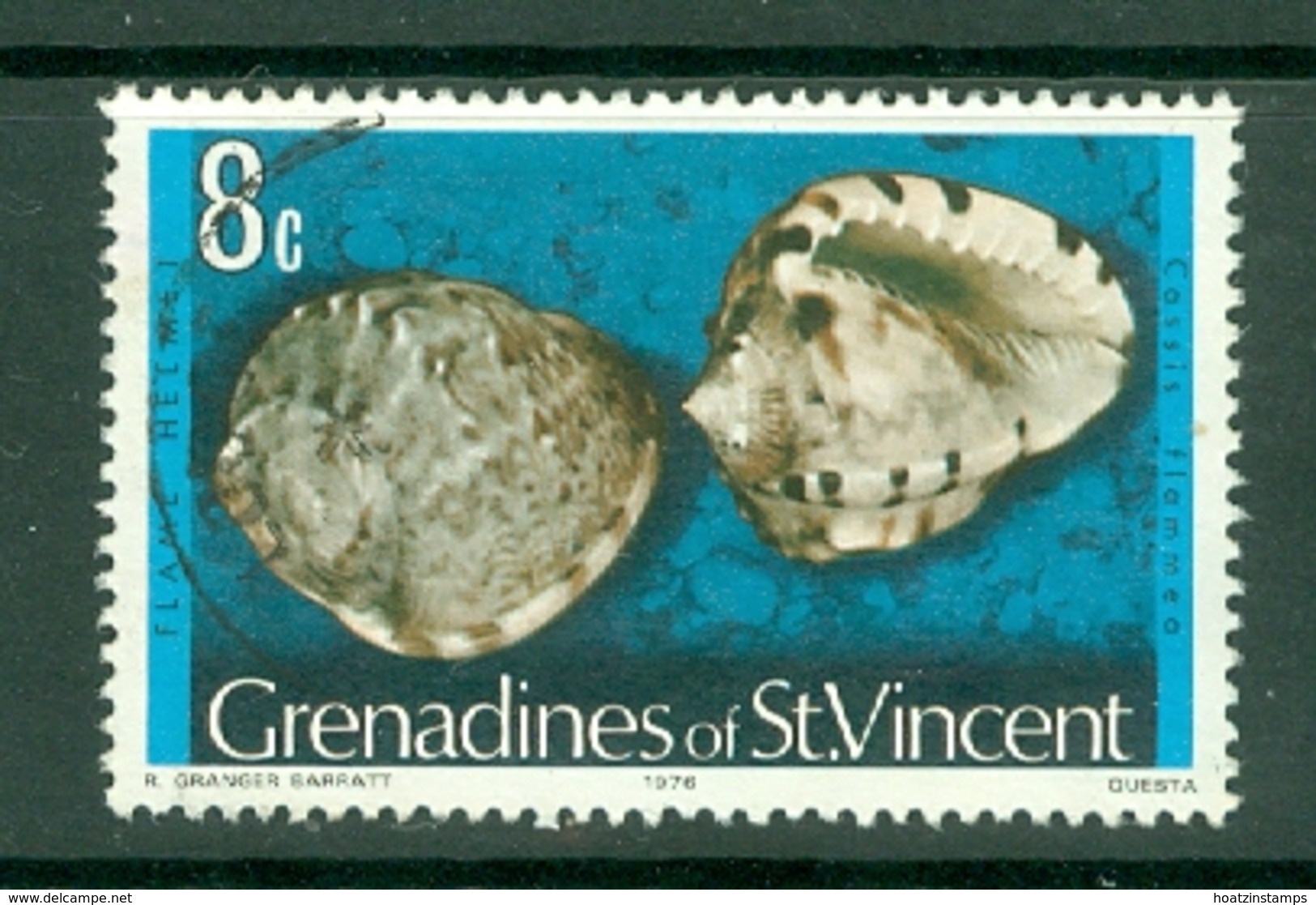 St Vincent Grenadines: 1974/77   Shells & Molluscs  SG41B    8c   [imprint Date '1976']    Used - St.Vincent & Grenadines