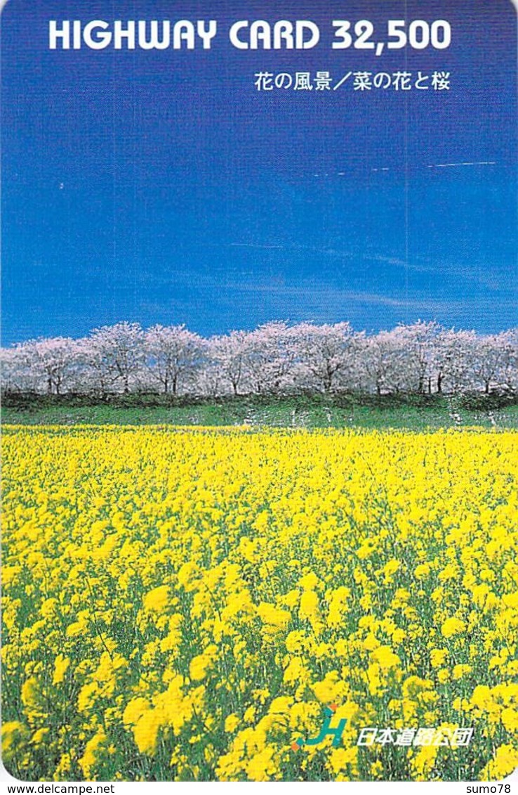 FLEUR - FLOWER - PAYSAGE - PRAIRIE - CAMPAGNE - NATURE - LANDSCAPE - ARBRE - Carte PrépayéeJapon - Fleurs