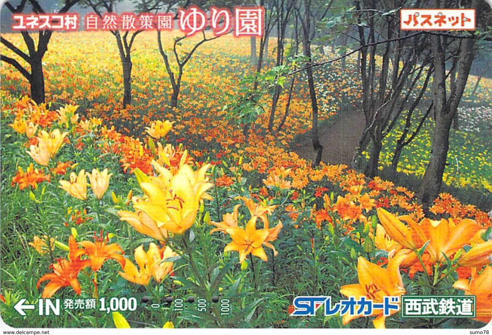 FLEUR - FLOWER - PAYSAGE - PRAIRIE - CAMPAGNE - NATURE - LANDSCAPE - ARBRE - Carte PrépayéeJapon - Fleurs