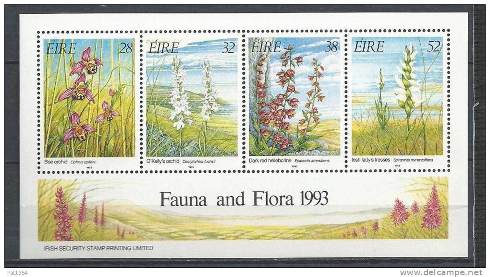 Irlande 1993 Bloc  N°13 Orchidées - Blocs-feuillets