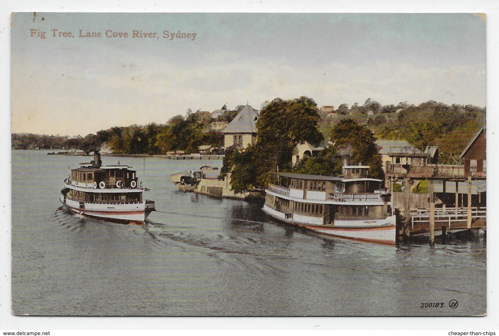 Sydney - Fig Tree, Lane Cove River - Valentine 300183 - Sydney