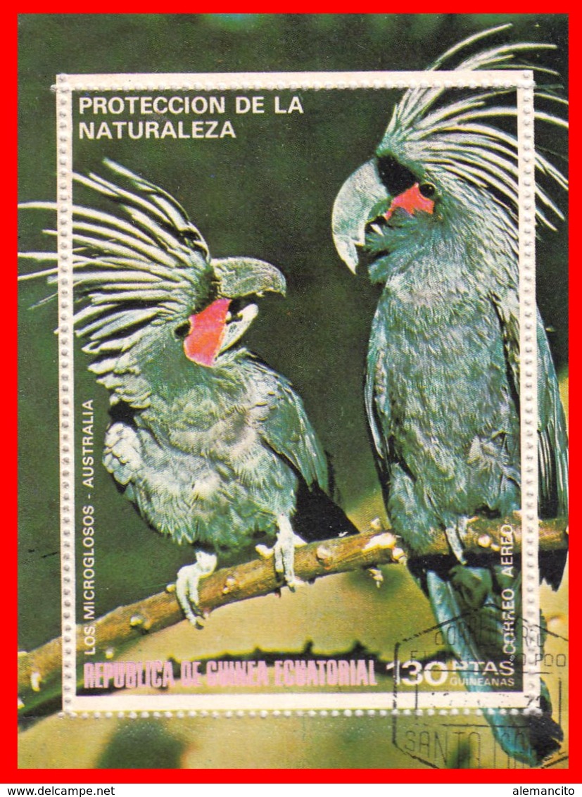 GUINEA ECUATORIAL - 1976 - PROTECCION DE LA NATURALEZA – TEMATICA  AVES - Guinea Ecuatorial