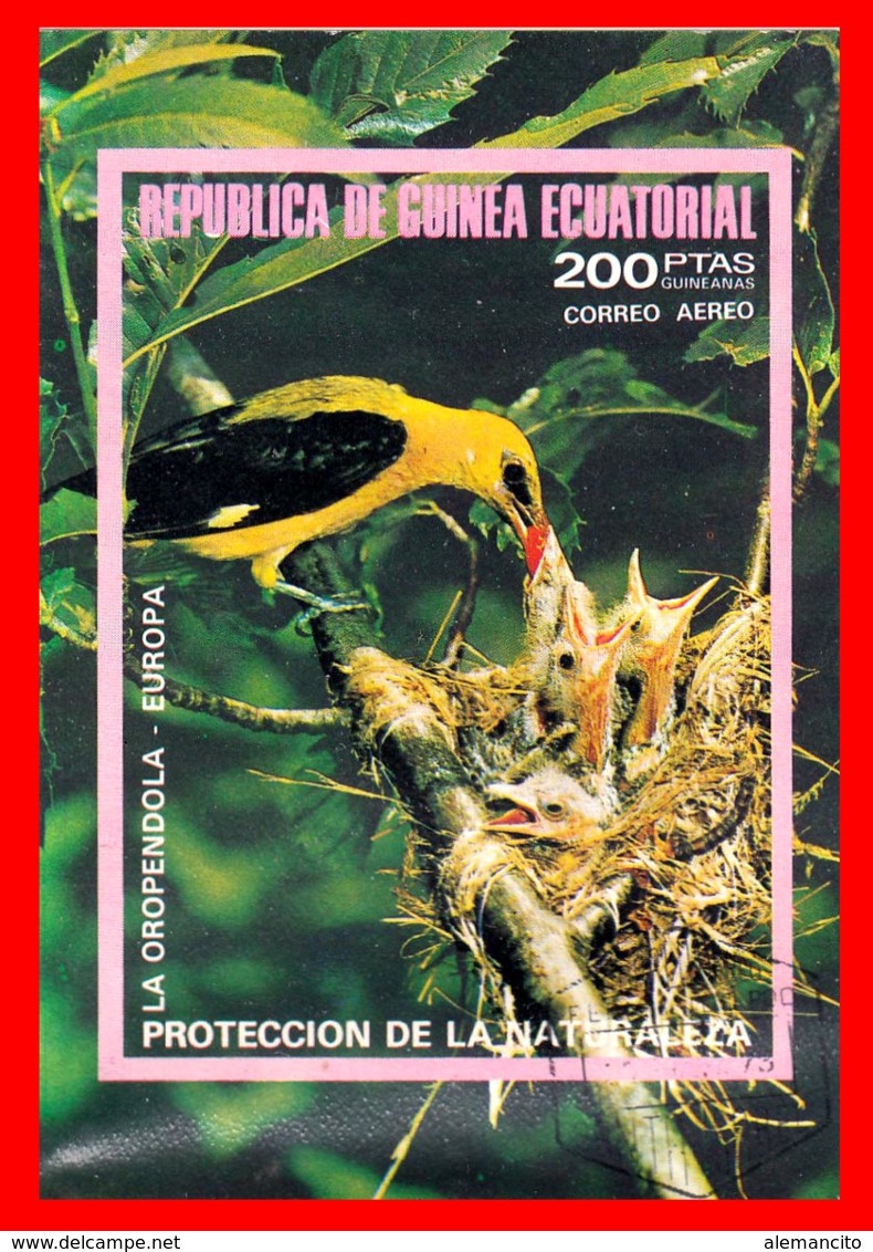 GUINEA ECUATORIAL - 1976 - PROTECCION DE LA NATURALEZA – TEMATICA  AVES - Guinea Ecuatorial