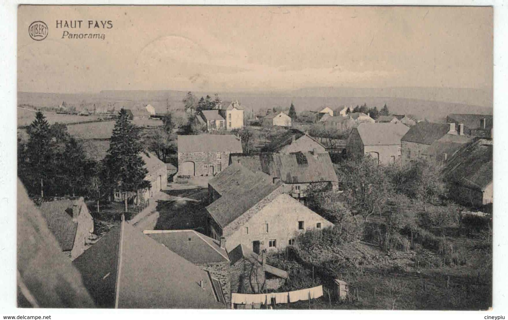 Daverdisse - Panorama - Belle Carte - Ed. Albert / Stral - Daverdisse