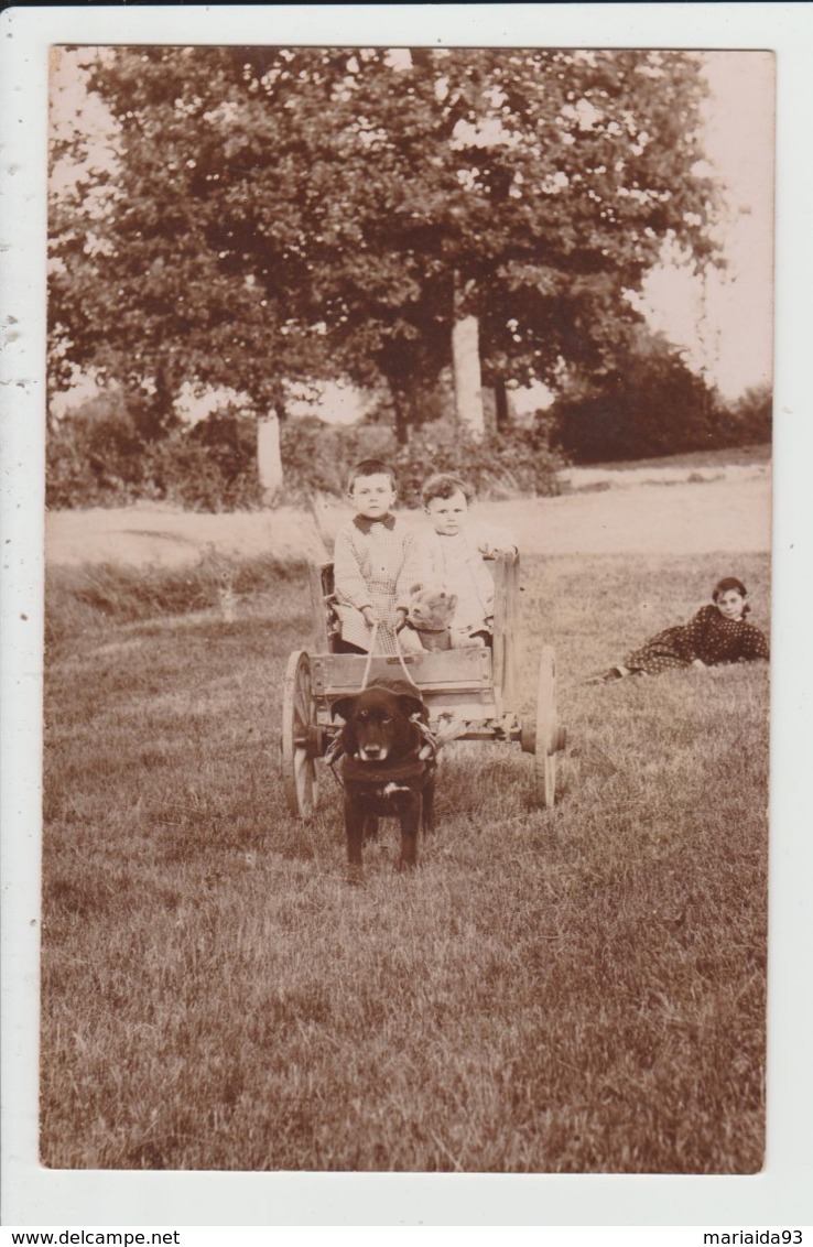 CARTE PHOTO A SITUER - ATTELAGE DE CHIEN - VOITURE A CHIENS - ENFANTS - Autres & Non Classés