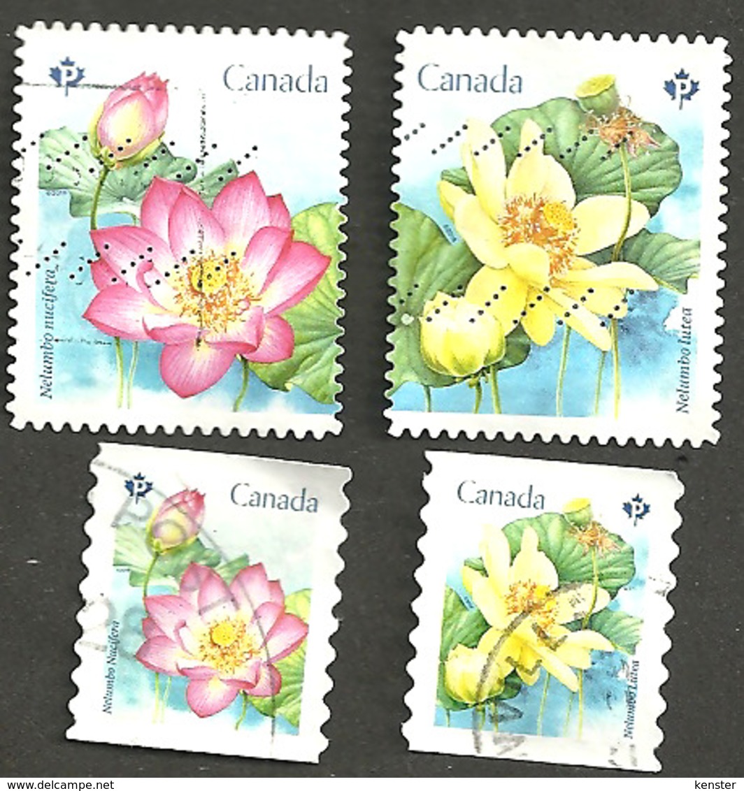 Sc. #3088-91 Lotus Flowers Booklet And Coil Pairs 2018 K049 - Oblitérés