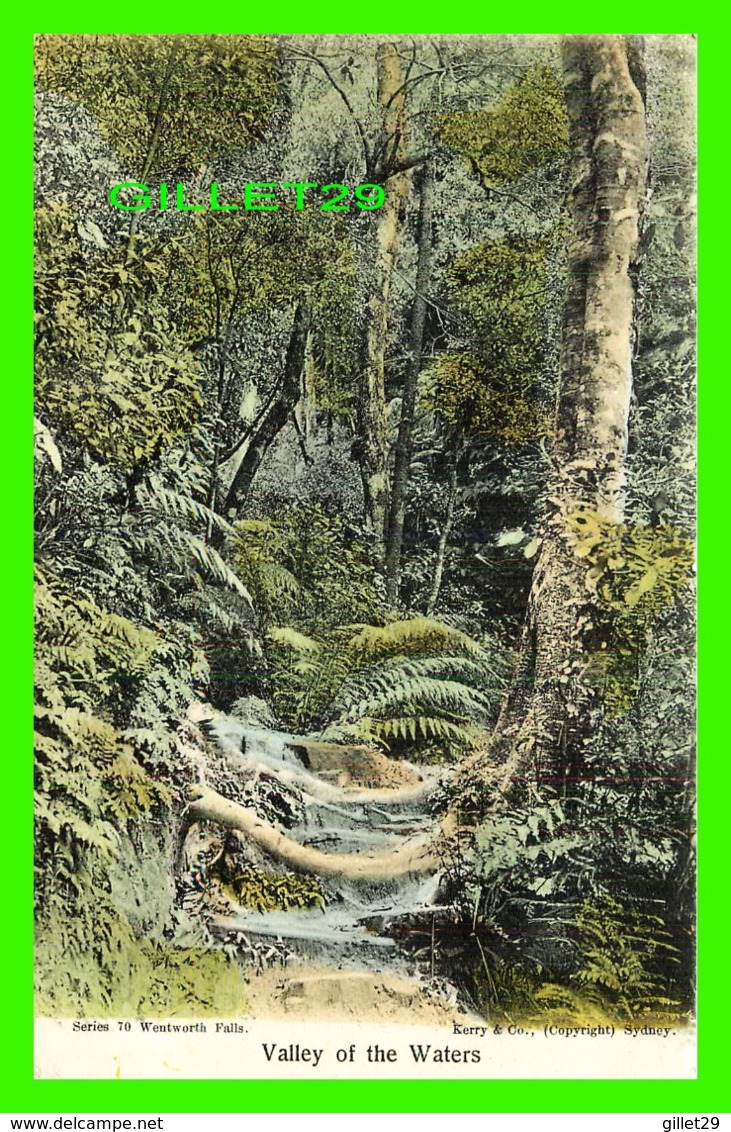 SYDNEY, AUSTRALIE - VALLEY OF THE WATERS - SERIES 70, WENTWORTH FALLS - KERRY & CO - - Sydney