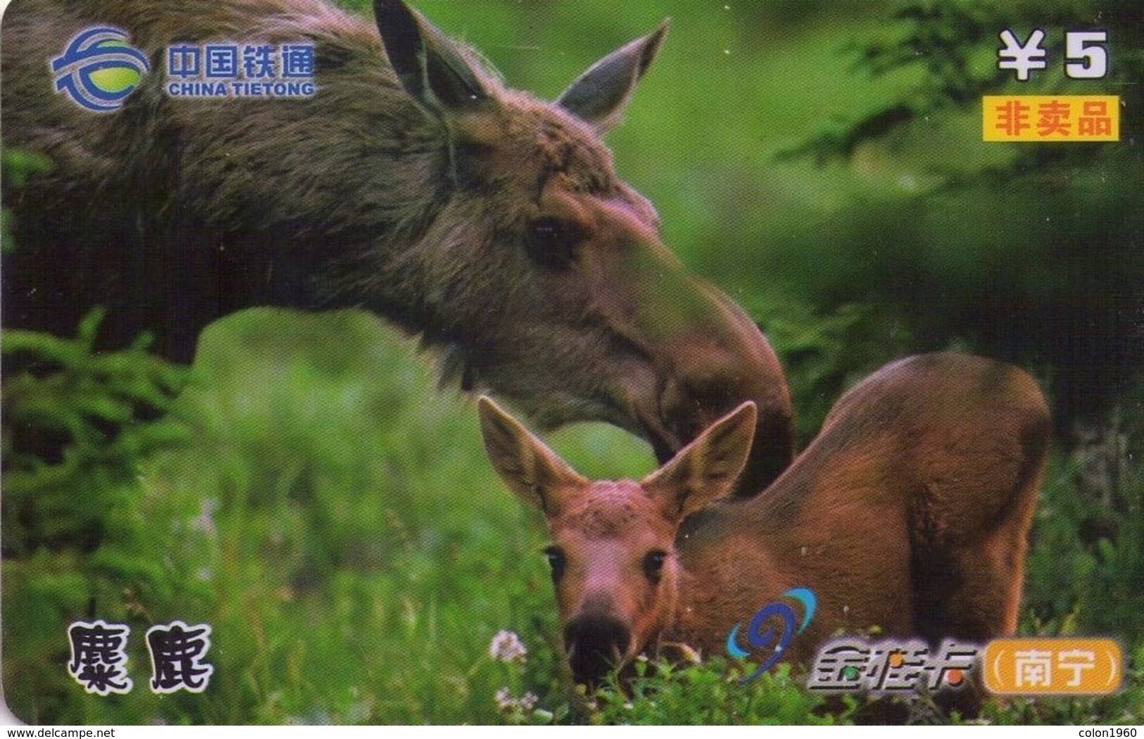 CHINA. FAUNA. Animal 9. CIERVAS - DEER. NNCTT-QYJG-2008-03-(10-9). (920) - Otros & Sin Clasificación