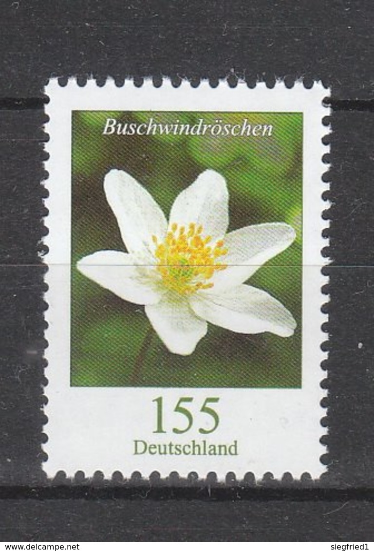 Deutschland BRD **    3472 R  Blumen  Buschwindröschen  Mit Nummer  Neuausgabe 1.7.2019 - Ungebraucht