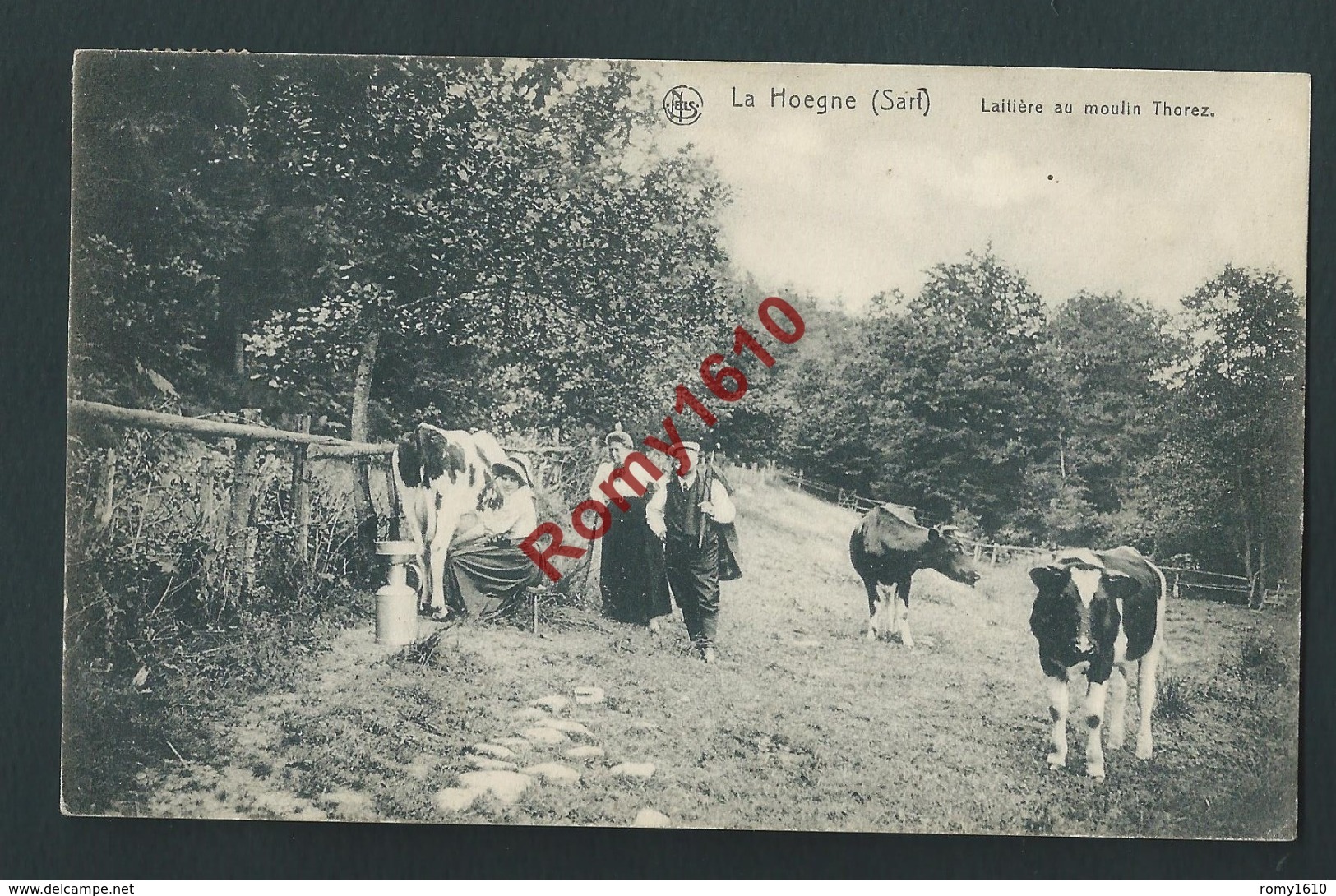 La Hoëgne (Sart) Jalhay.   Laitière Au Moulin Thorez. Traite Des Vaches. Superbe Carte Animée. Nels.  Circulé. 2 Scans. - Jalhay