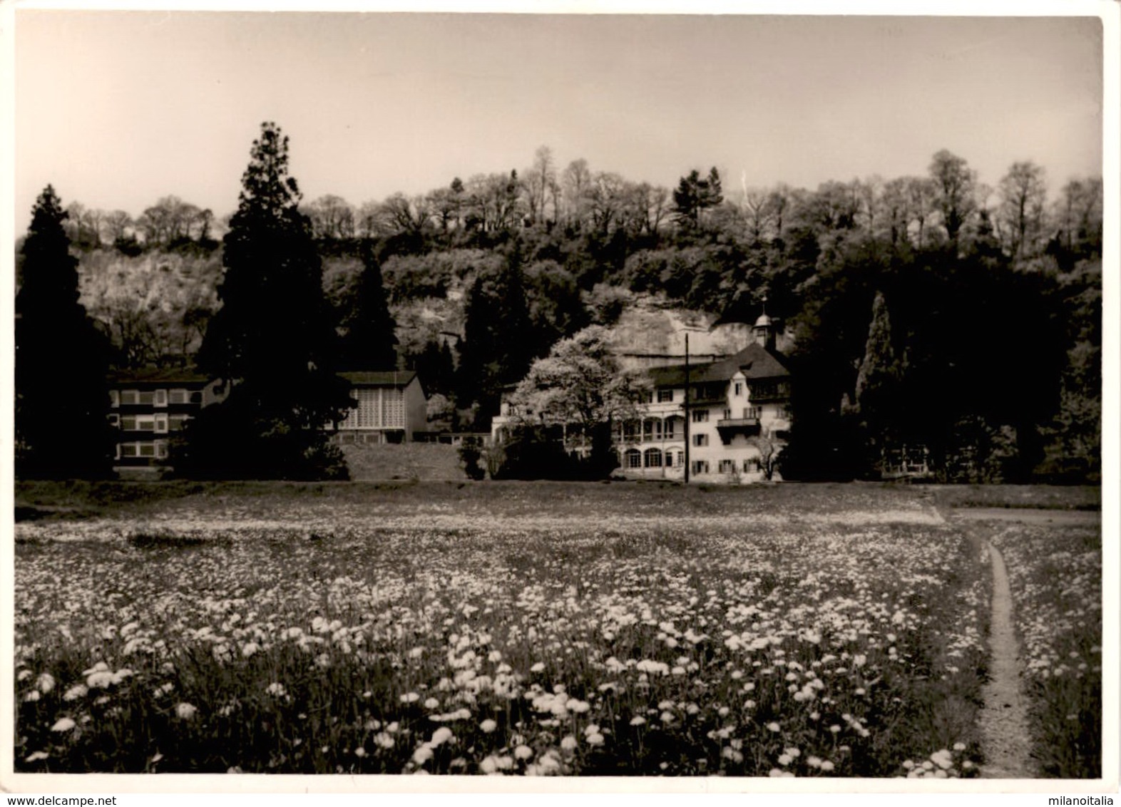 Gymnasium Marienburg, Steyler Missionare - Rheineck SG - Rheineck