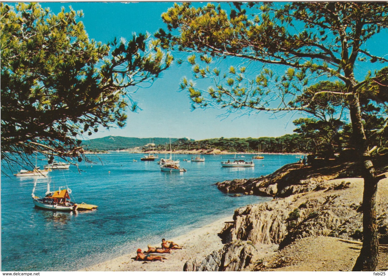 ILE DE PORQUEROLLES LE BON RENAUD - Porquerolles