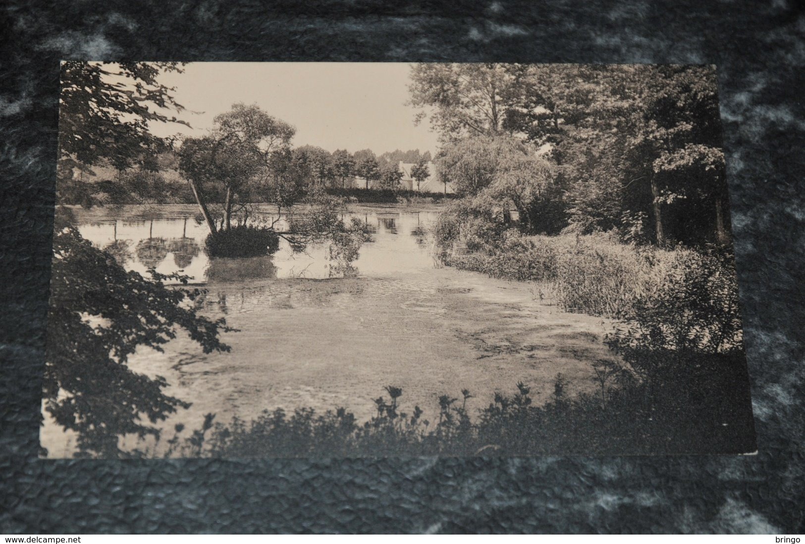 11854-    CHATEAU DE GAESBEEK, LE GRAND ETANG - Lennik