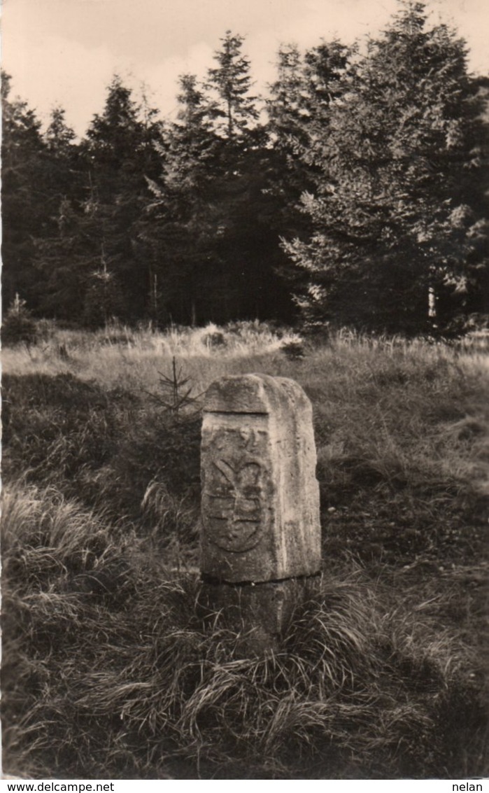 RENNSTEIGSTEIN AM RENNSTEIG-THUR.WALD  -VIAGGIATA 1962-REAL PHOTO - Neuhaus