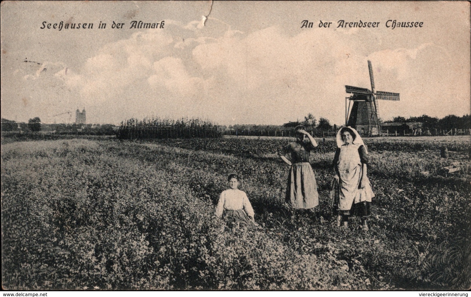 ! Alte Ansichtskarte Seehausen In Der Altmark, Arendseer Chaussee, Sachsen-Anhalt, Windmühle, Moulin A Vent, Windmill - Windmühlen