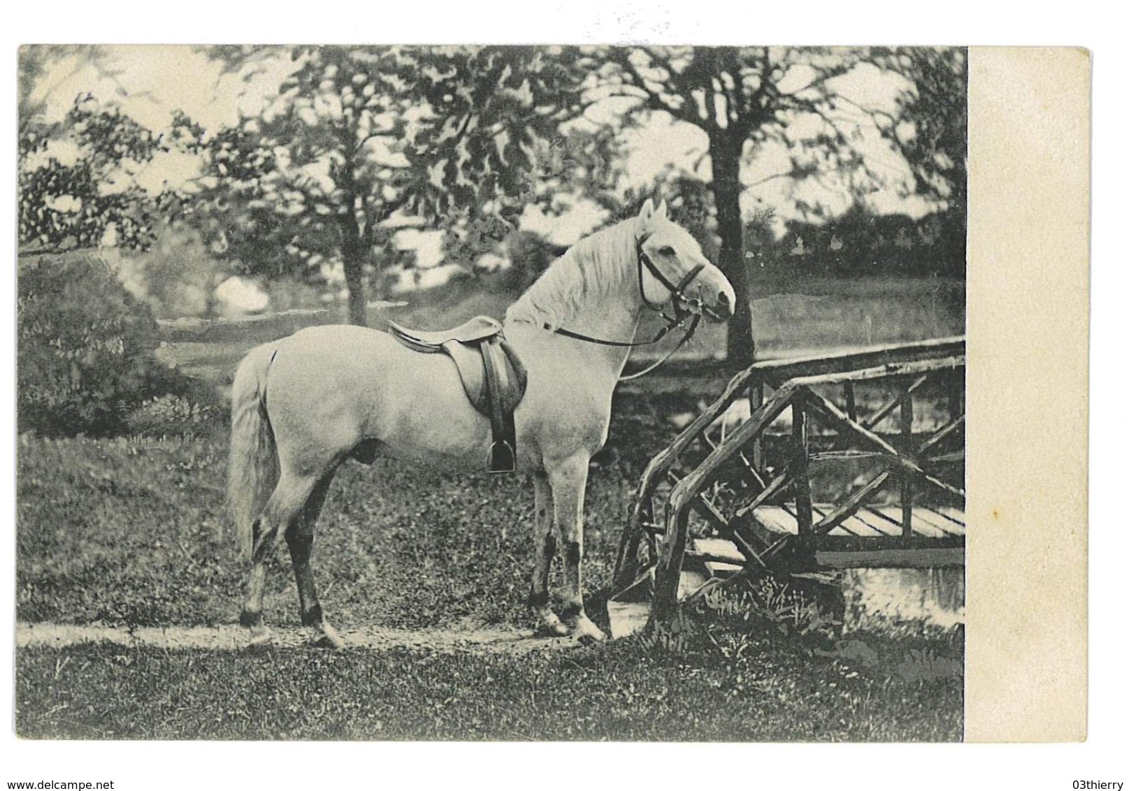 CPA CHEVAUX SERIE NON SITUES - Pferde