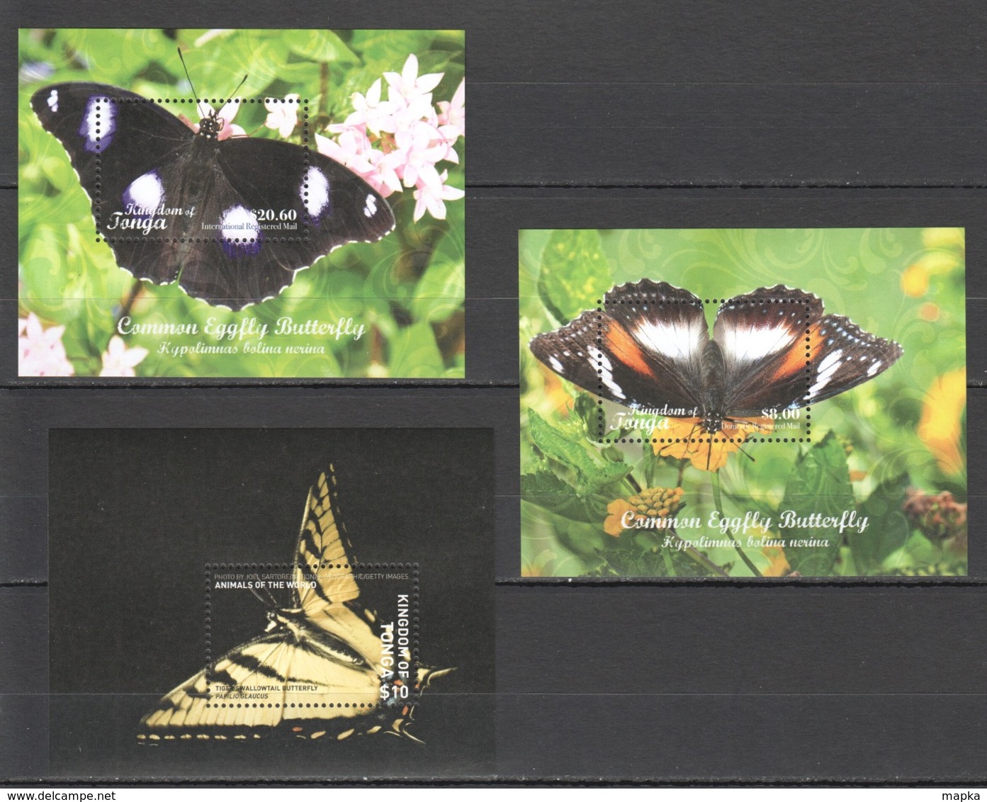 CC867 2018 KINGDOM OF TONGA FAUNA INSECTS BUTTERFLIES !!! 22.3 US$ TOTAL NOMINAL 3BL MNH - Butterflies