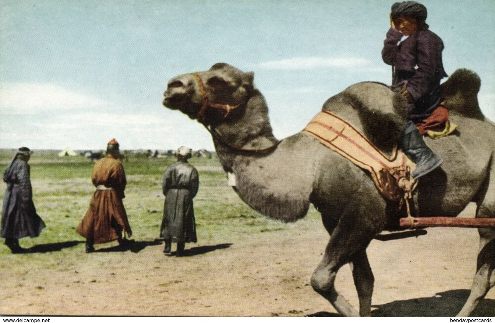 Mongolia China, Native Mongolian Camel Driver (1946) Postcard - Mongolia