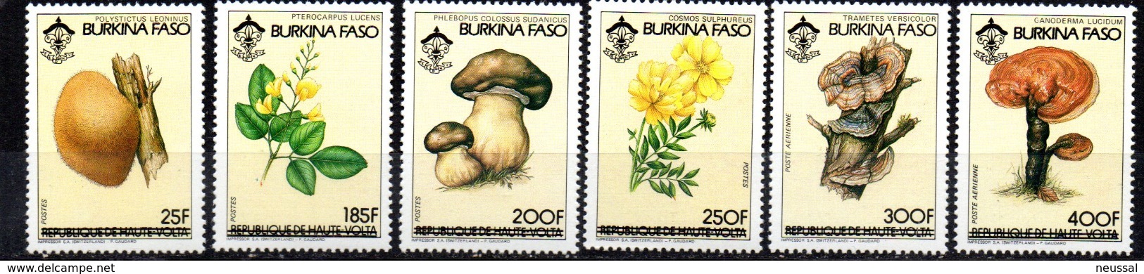 Serie Nº639 C/F + A-268/9 Burkina Faso - Paddestoelen