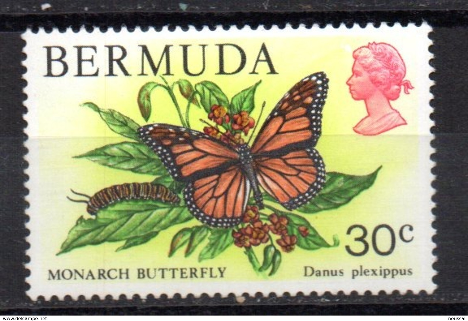 Sello Nº 363  Bermuda - Mariposas