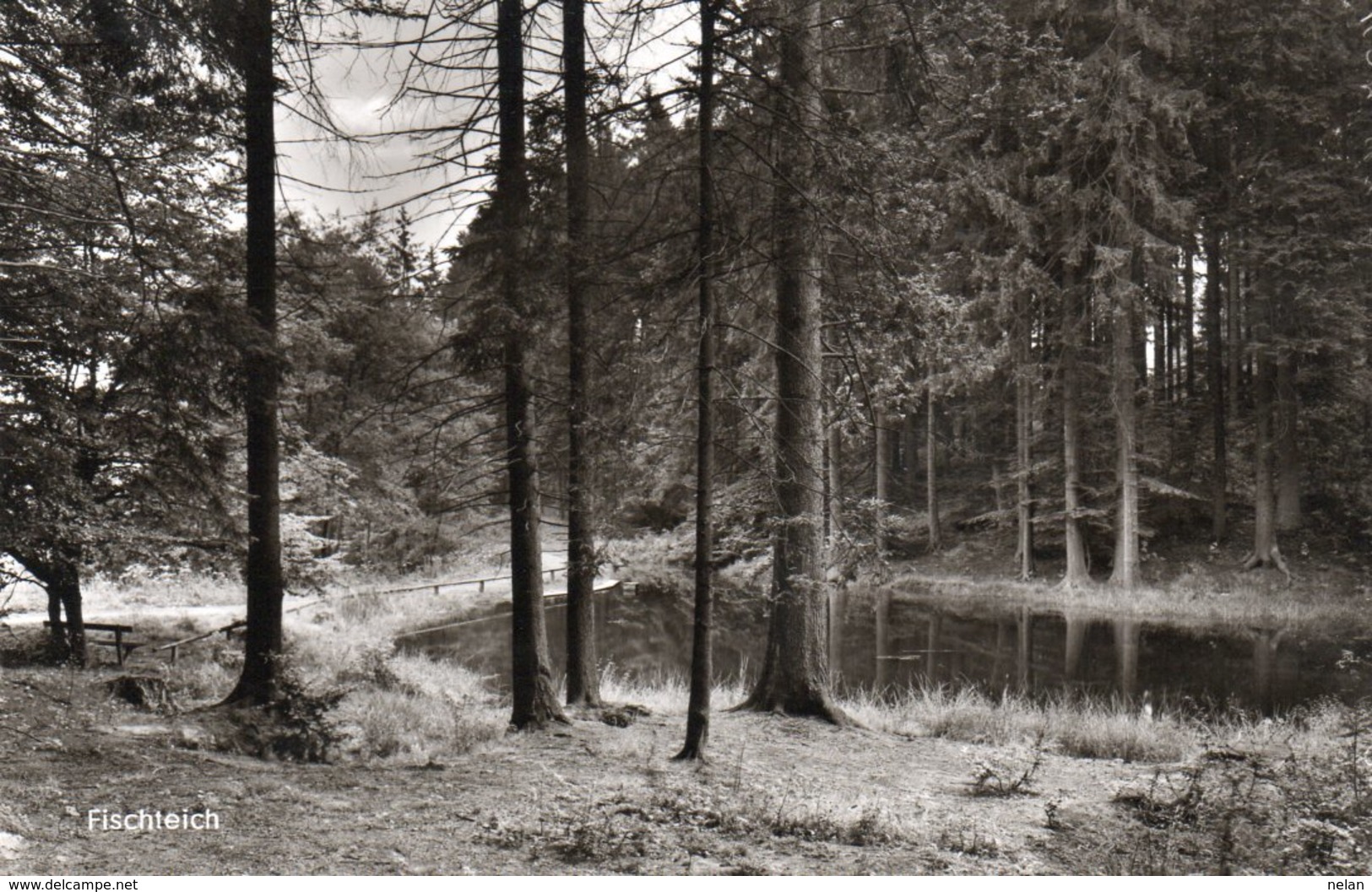 FISCHTEICH-GASTHAUS UND PENSIONHAUS H. VARLEMANN-NON VIAGGIATA  -REAL PHOTO - Warburg