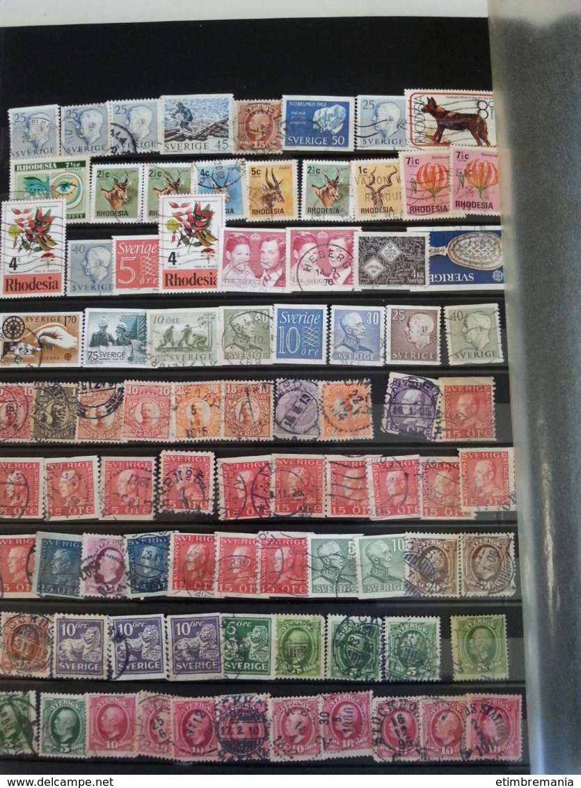 LOT N° e790  accumulation de timbres divers , dans un classeur