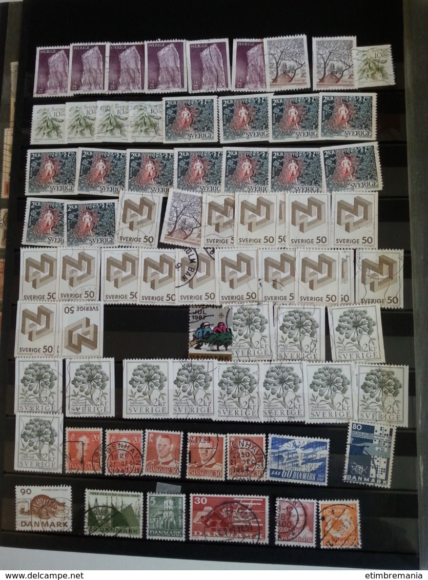 LOT N° e790  accumulation de timbres divers , dans un classeur