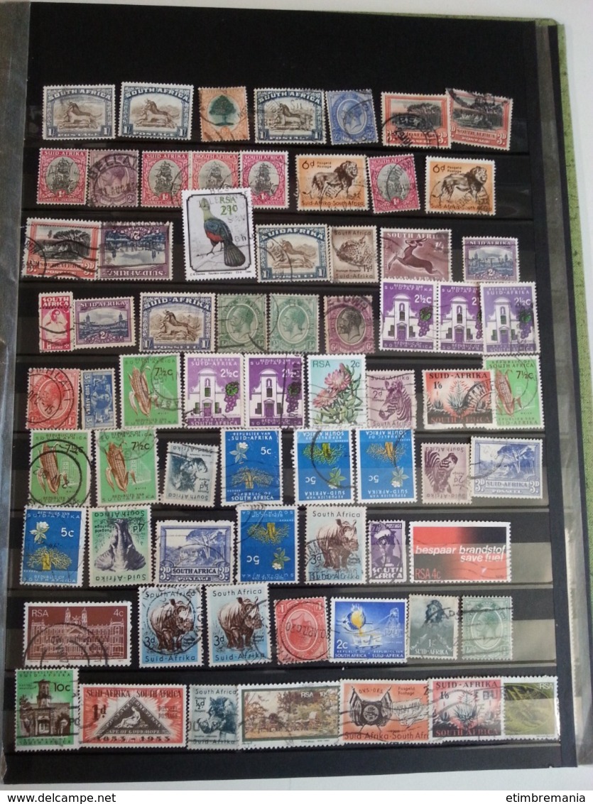 LOT N° e790  accumulation de timbres divers , dans un classeur