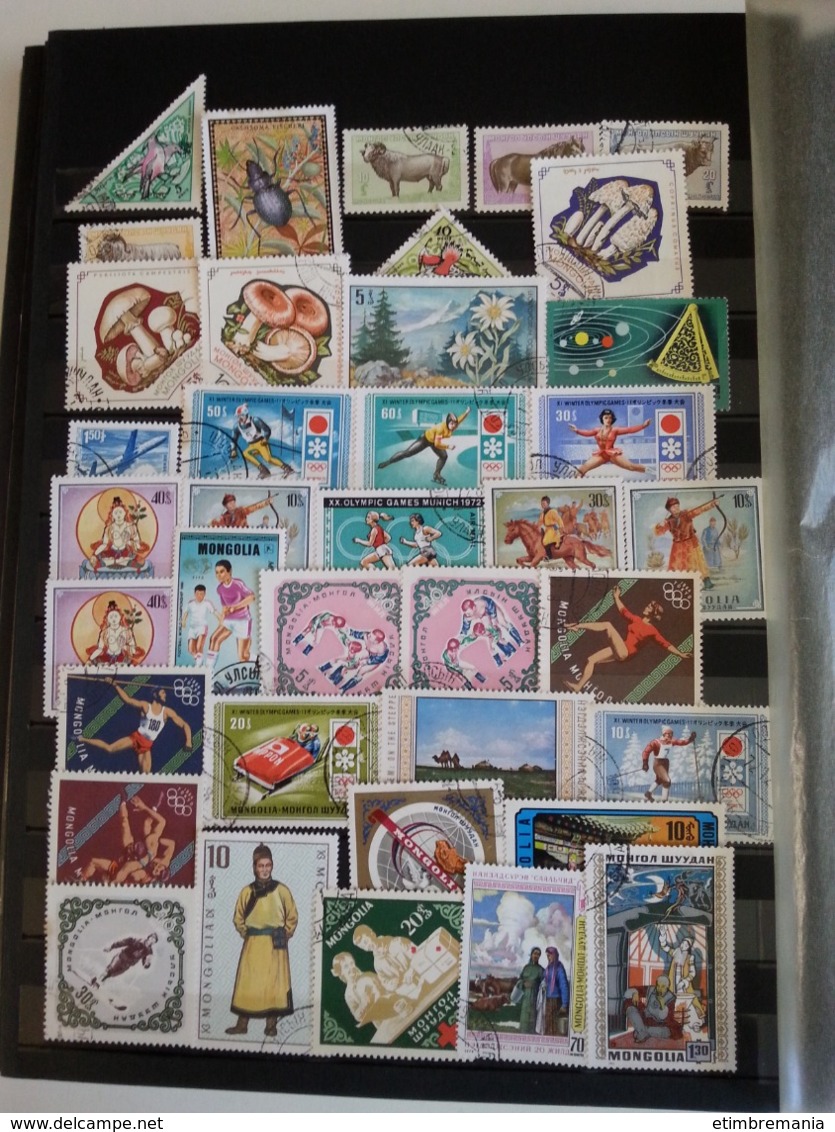 LOT N° e790  accumulation de timbres divers , dans un classeur