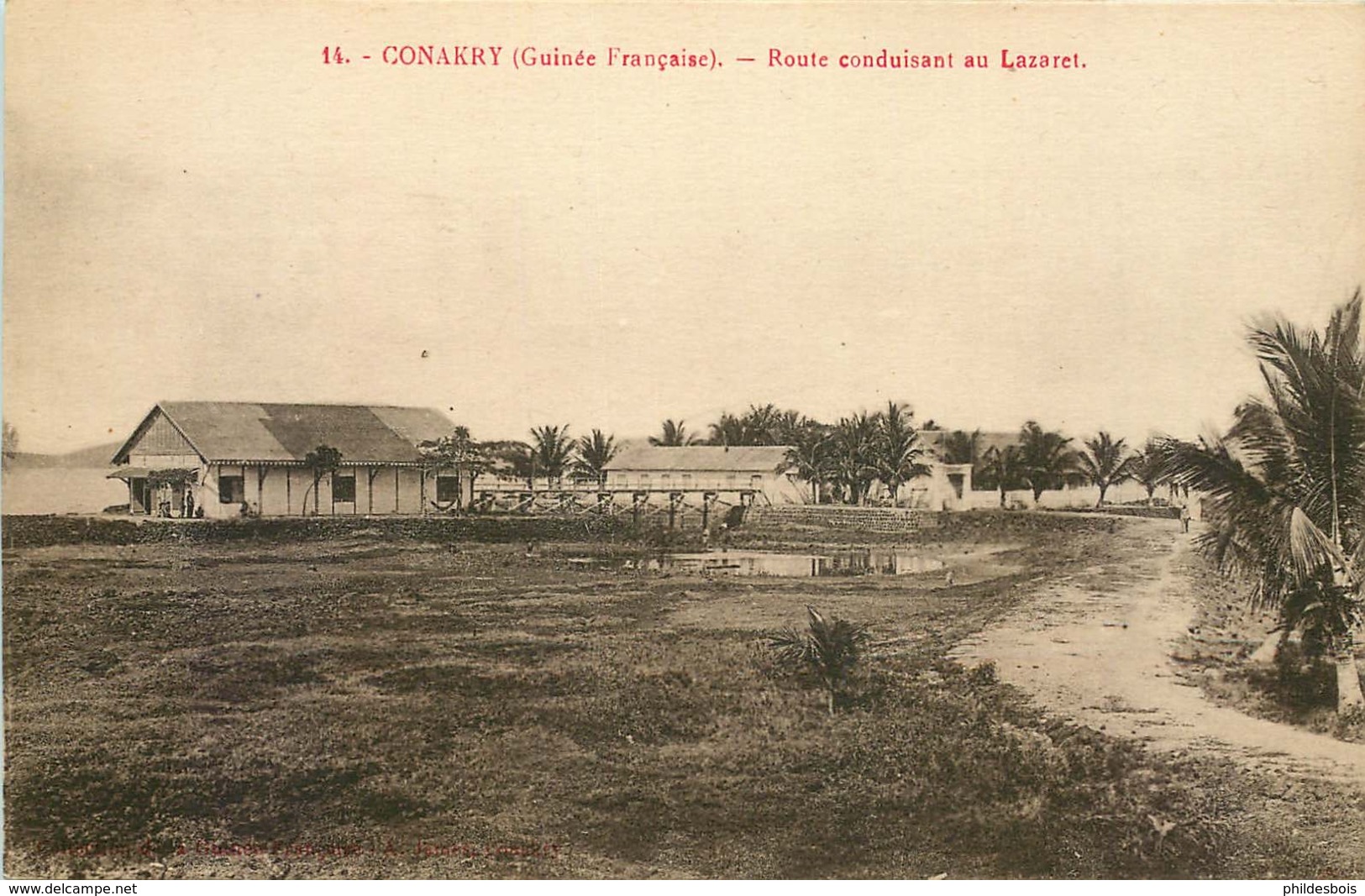 GUINEE  FRANCAISE CONAKRY  Route Conduisant Au Lazaret - Guinea Francese