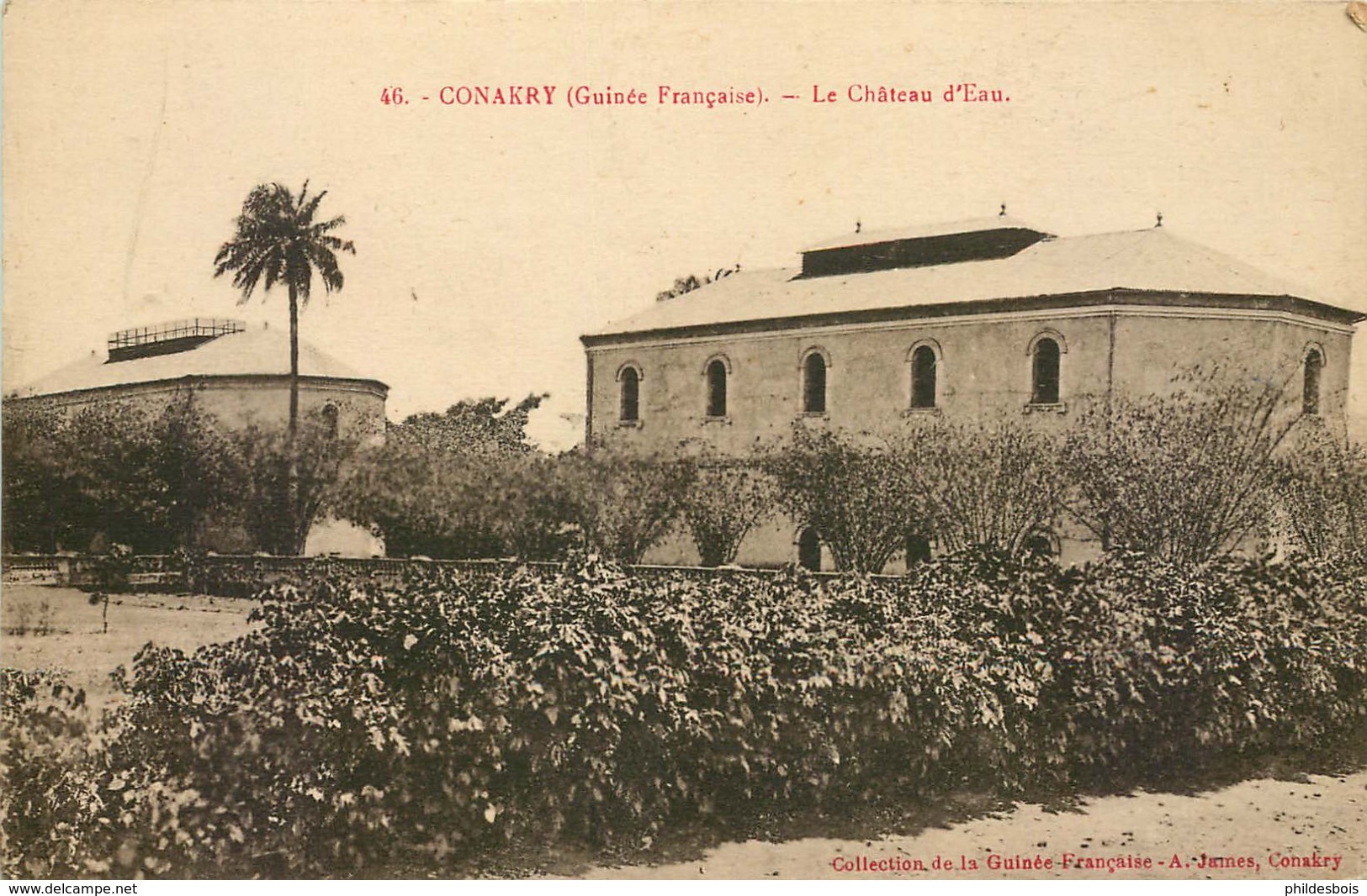 GUINEE  FRANCAISE CONAKRY  Chateau D'eau - Französisch-Guinea