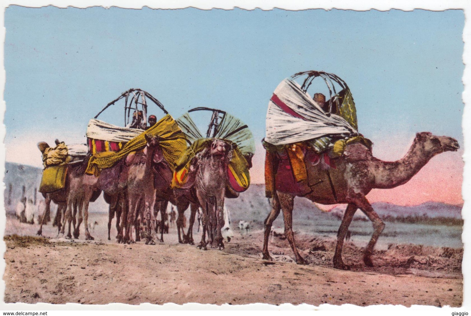 °°° 13956 - ALGERIA ALGERIE - UNE CAROVANE DANS LE SUD - 1958 °°° - Scene & Tipi