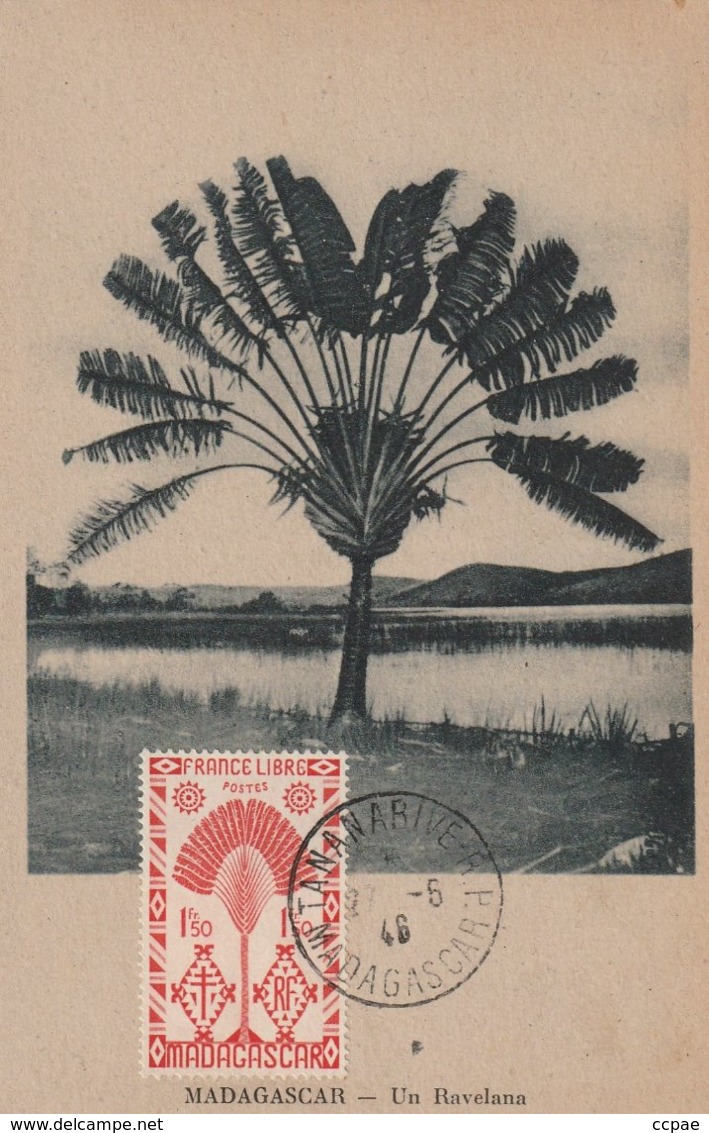 Carte Maximum - Un Ravelana - Madagaskar