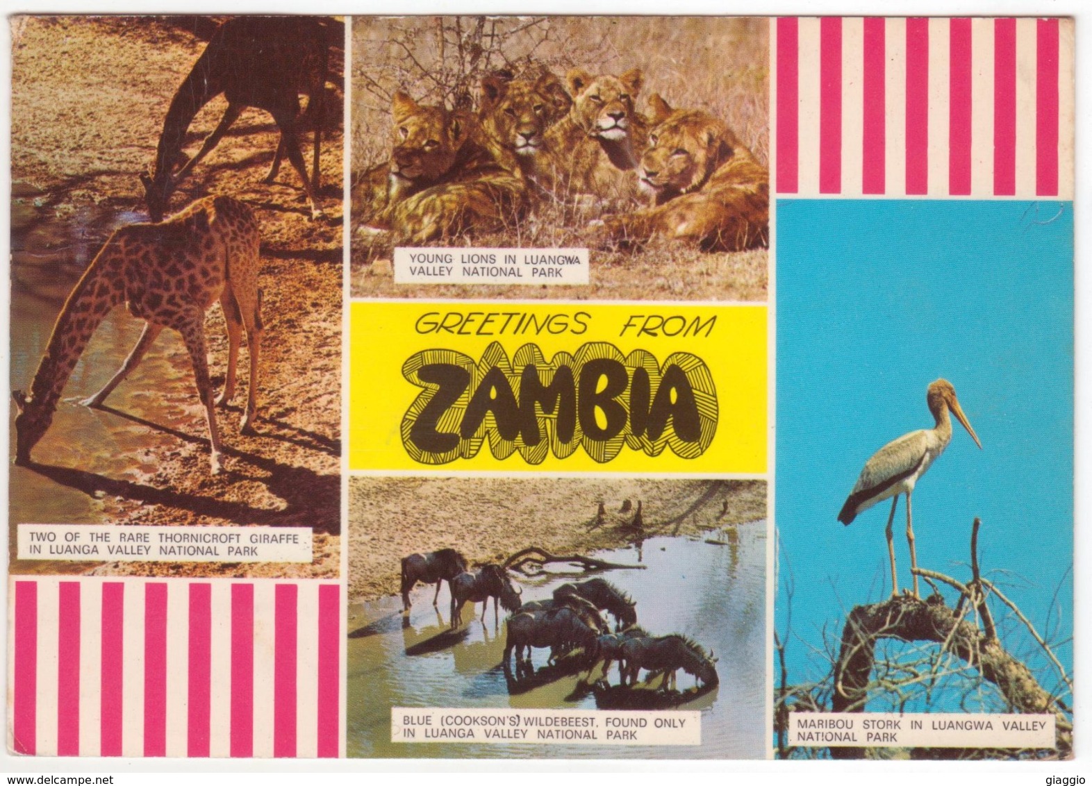 °°° 13967 - GREETINGS FROM ZAMBIA - 1970 °°° - Sambia