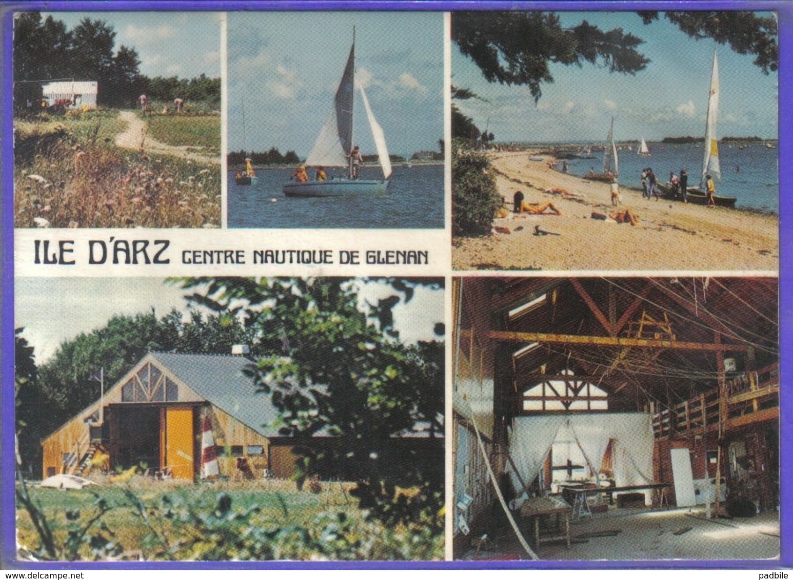 Carte Postale 56. Île D'Arz  Le Centre Nautique De Glénan   Très Beau Plan - Ile D'Arz