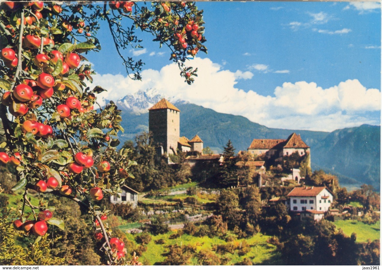 ITALIA. POSTCARD. CASTLE TIROL - Otros & Sin Clasificación