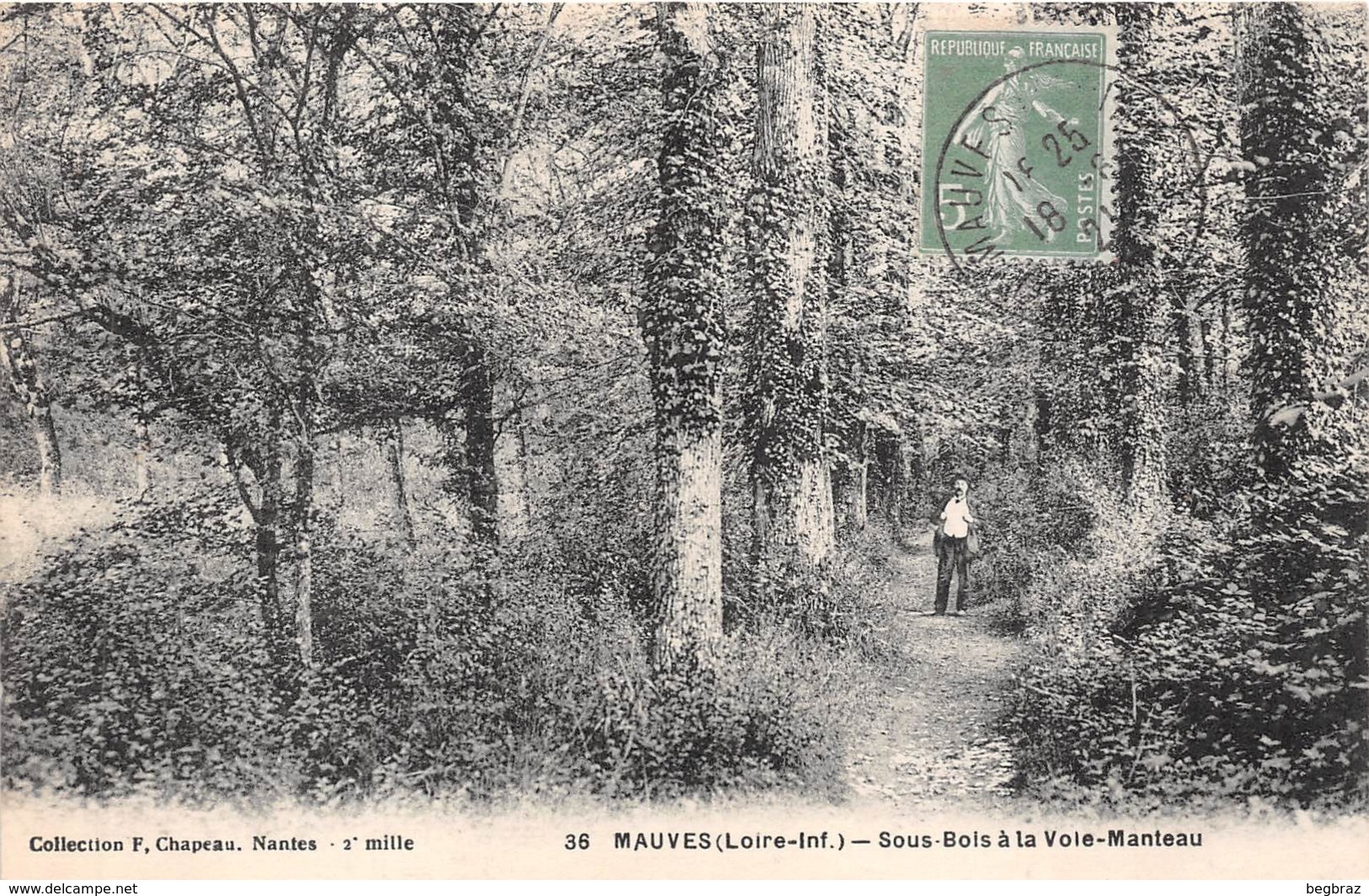 MAUVES SUR LOIRE        SOUS BOIS A LA VOIE MANTEAU - Mauves-sur-Loire