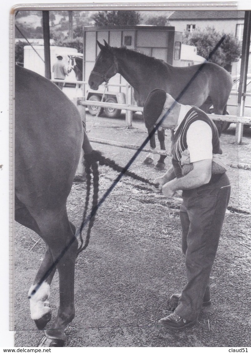 Gavray(50) Chevaux .Série "de Pégase En Licorne" Photo Jacques Faujour . Tirage Limité N° F 59 - Altri & Non Classificati