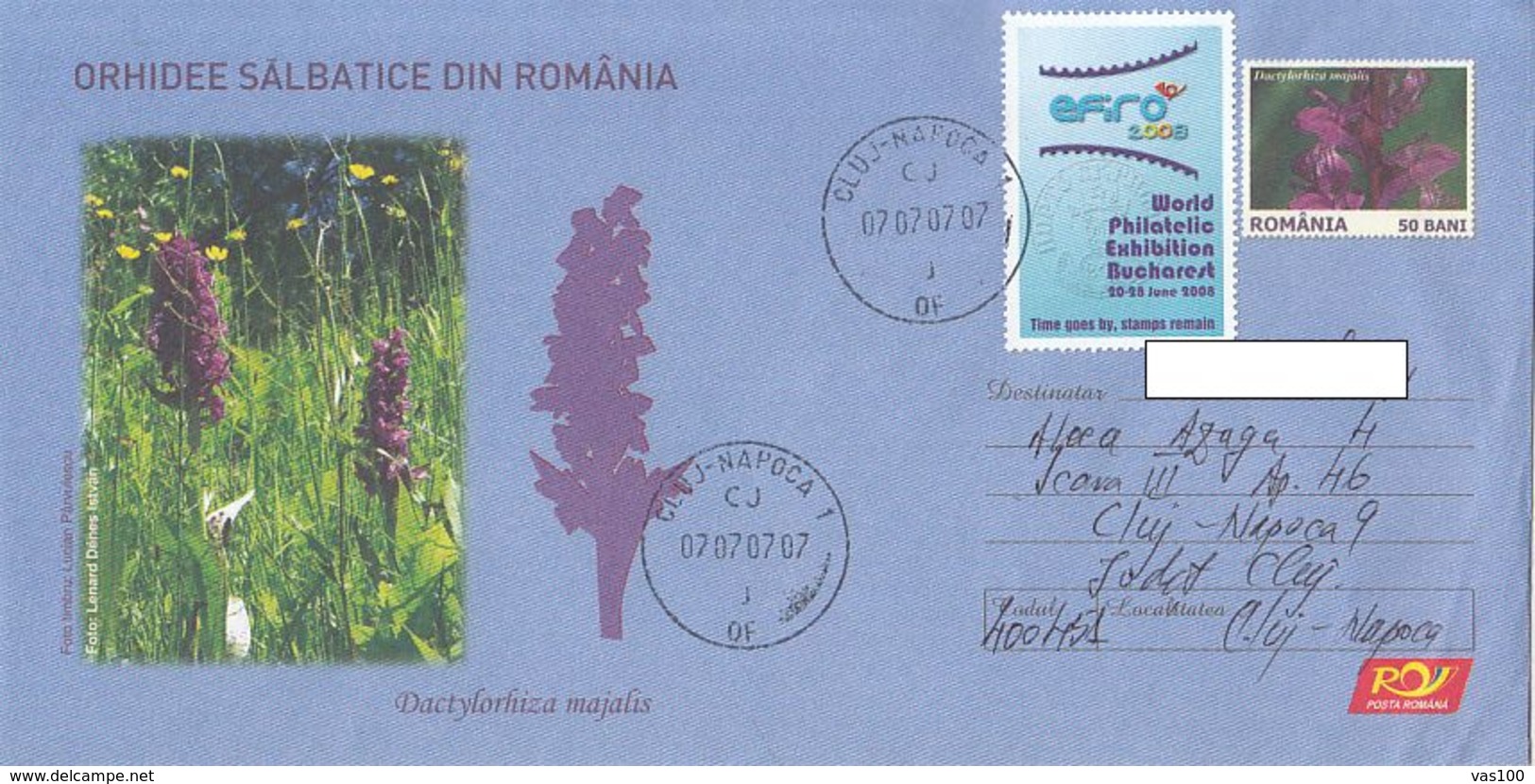 FLOWERS, ORCHIDS FROM ROMANIA, MARSH ORCHID, COVER STATIONERY, ENTIER POSTAL, 2007, ROMANIA - Orchidées