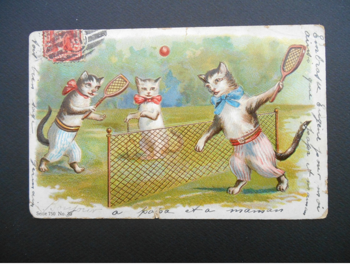 2 Chats Jouant Au Tennis Devant Chatte Avec Ombrelle  - Gaufrée - Série 750 N° 38 - Cats