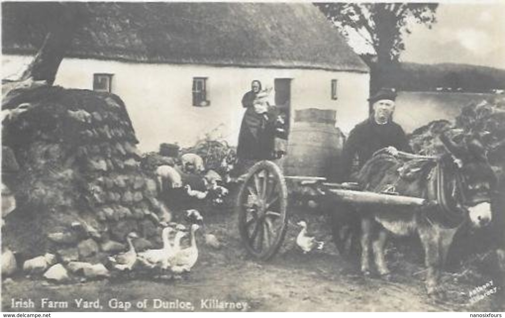 IRLANDE.  IRISH FARM YARD GAP OF DUNLOE KILLARNEY.  ATTELAGE ANE - Autres & Non Classés
