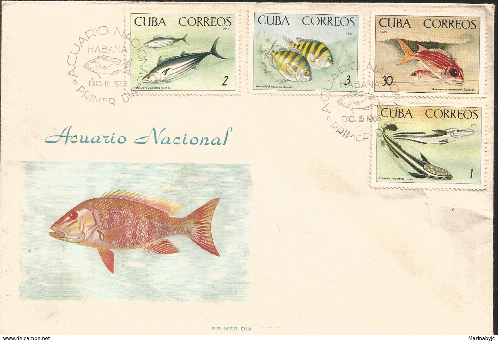 V) 1965 CARIBBEAN, FISH IN THE NATIONAL AQUARIUM, WITH SLOGAN CANCELATION IN BLACK, OVERPTINT, FDC - Cartas & Documentos