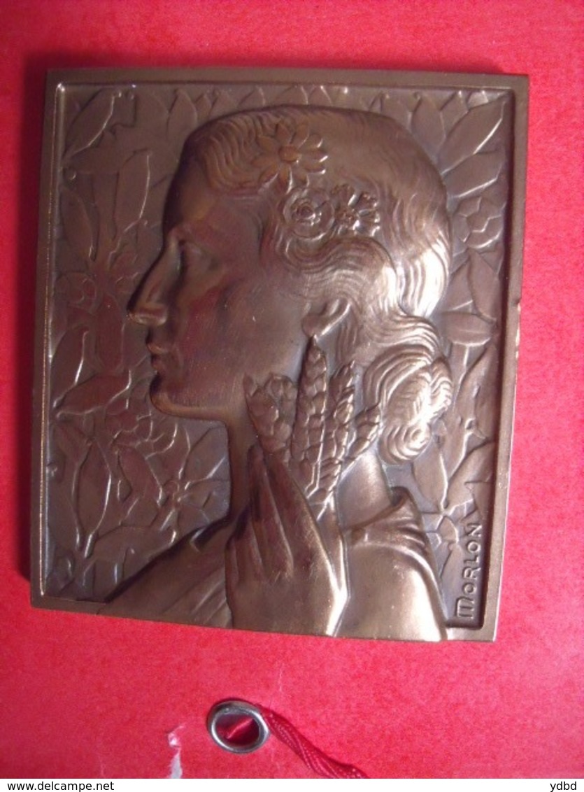 UNE MEDAILLE DE LA VILLE DE SOISSONS  EN  BRONZE - Professionals/Firms