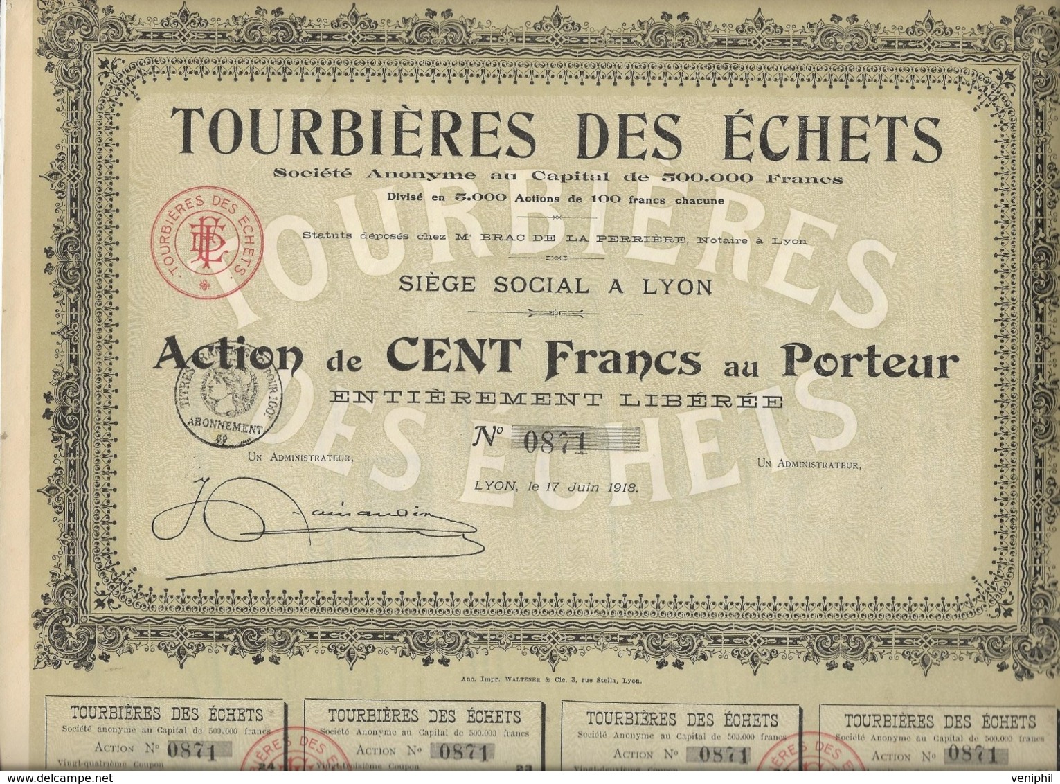 ACTION DE 100 FRS - TOURBIERES DES ECHETS  -01 - DIVISE EN 500 ACTIONS - ANNEE 1918 - Agricoltura