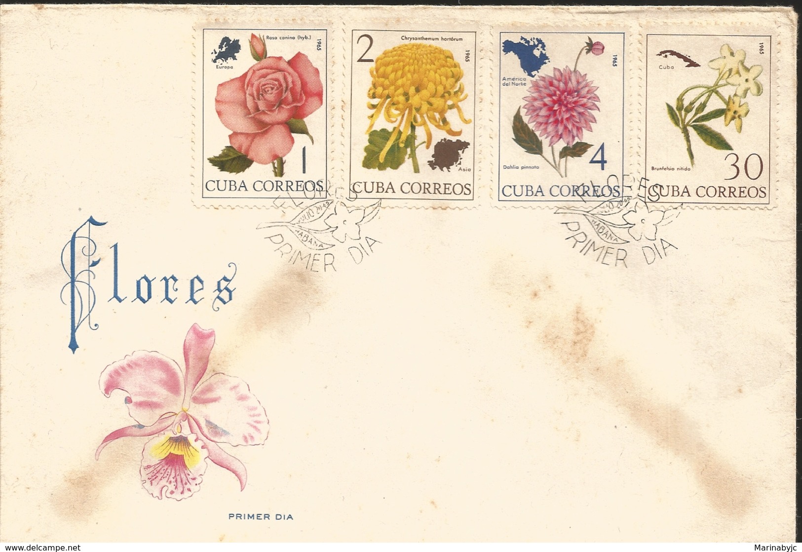 V) 1965 CARIBBEAN, FLOWERS AND MAPS OF THEIR LOCATIONS, ROSA CANINA, CHRYSANTHEMUM HORTORUM, BRUNFELSIA NITIDA, WITH SLO - Storia Postale